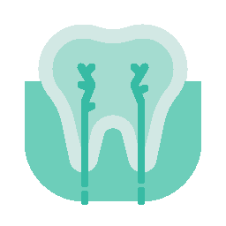 Endodoncia. Clínica Dental Valeria en Majadahonda
